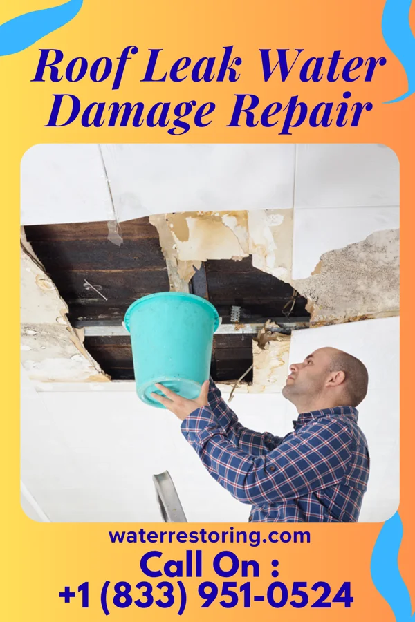 Roof Leak Water Damage Repair in Indian Springs, GA